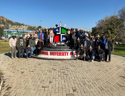 UNIICo-Create partners join forces to develop  joint entrepreneurship micro-credential for SADC
